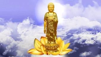 阿弥陀佛 图片,慈悲之光，净土之源