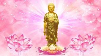 阿弥陀佛 图片,慈悲之光，净土之源