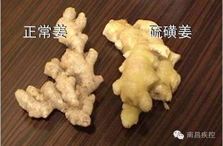 生姜视频,揭秘养生佳品背后的神奇功效