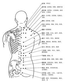 人体血位图片大全,揭秘血管健康奥秘