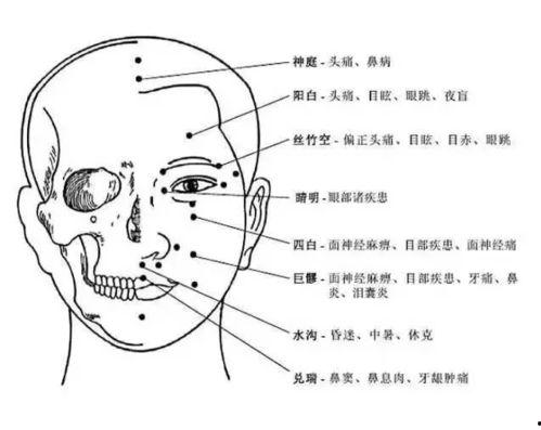 人体血位图片大全,揭秘血管健康奥秘