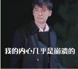 吃瓜小说娱乐圈柳小八,娱乐圈的瓜田小仙女