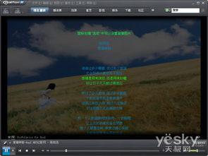 sp视频在线观看,在线观看新体验
