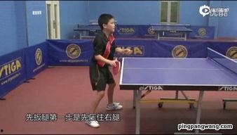 谷云峰乒乓球教学视频,揭秘乒乓球技巧与训练秘诀