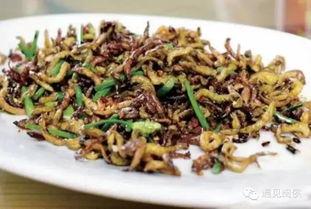 流蜞图片,自然界的灵动精灵