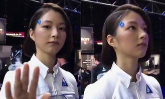日本智能机器人美女,未来科技与人类情感的交汇点