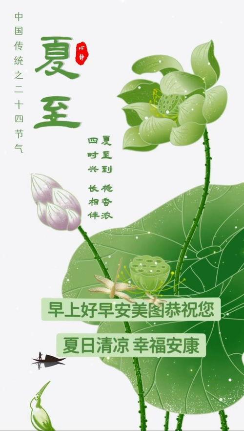 夏至节气图片,阳光最盛，万物生长的极致时刻