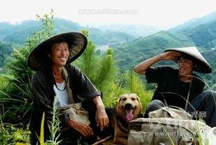 那人那山那狗在日本,日本乡村生活的温馨画卷