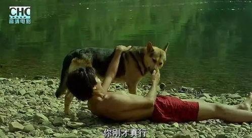 那人那山那狗在日本,日本乡村生活的温馨画卷