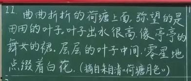 板书图片,板书图片内容概览