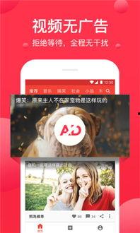 西瓜视频怎么玩,轻松上手，畅享短视频乐趣