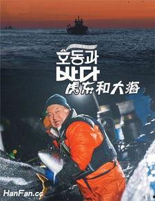 韩国综艺大海,探寻韩国海洋文化的魅力之旅