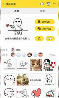 手机表情图片大全集,千姿百态，表情包界的百科全书