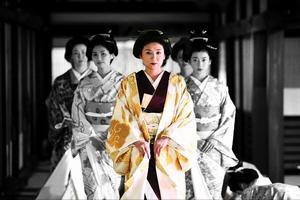 日本大奥电视剧,幕末风云下的女性传奇