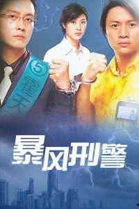 暴风刑警国语全集,全境追击，正义风暴席卷而来