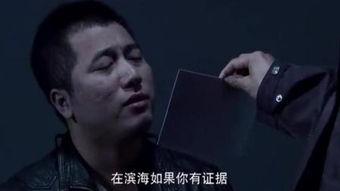 暴风刑警国语全集,全境追击，正义风暴席卷而来