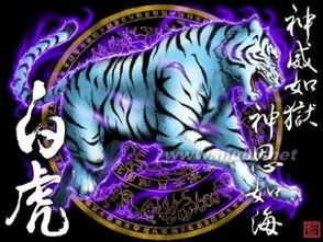 中国神兽图片大全,图鉴中的神秘与智慧