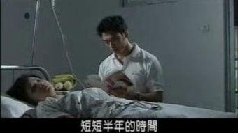 力王中王国语版电影,王国语版，激战巅峰，热血沸腾的传奇再续