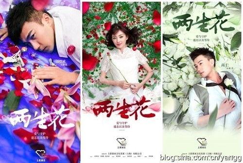 在线观看《两生花》,命运交织的奇幻之旅