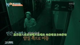 韩国两天一夜鬼屋特辑,两天一夜鬼屋特辑深度揭秘
