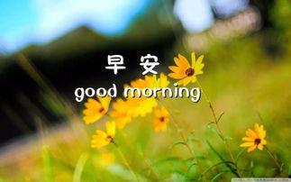 早安图片大全唯美带字,字里行间的温暖问候