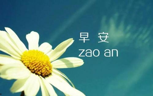 早安图片大全唯美带字,字里行间的温暖问候
