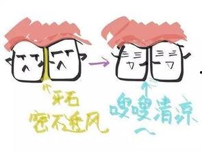 洗牙教学视频,掌握专业洗牙技巧全解析