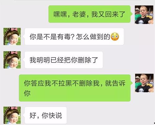 微信聊天壁纸图片大全,海量精选，让你的聊天更具个性魅力